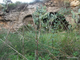 stellaccio20-11-2016 15-46-49